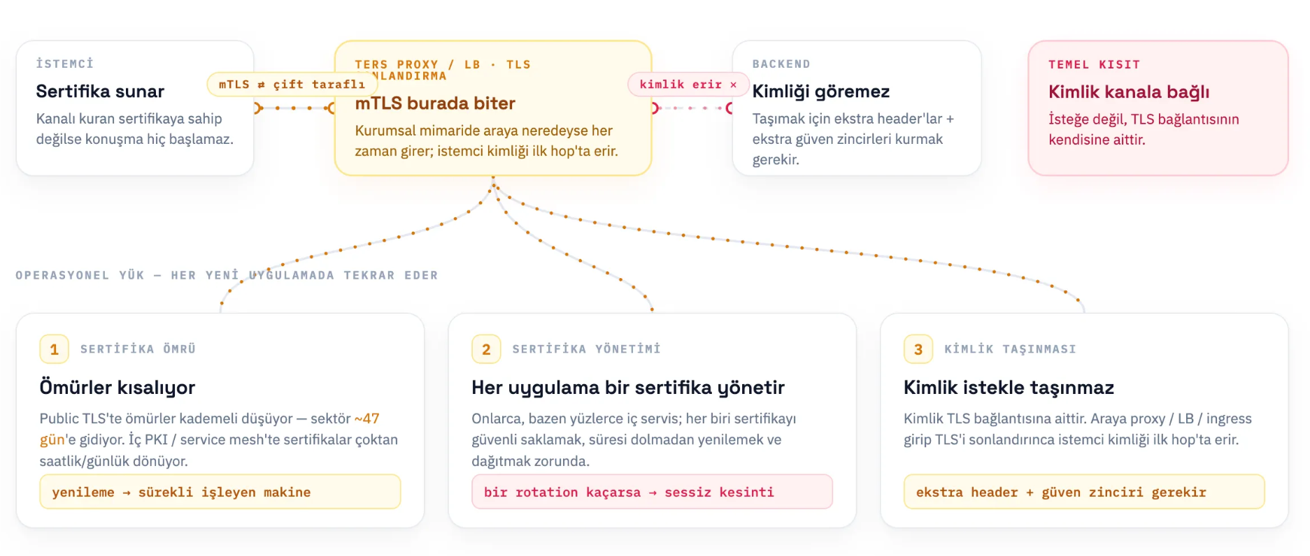 mTLS diyagramı: istemci sertifika sunar, TLS sonlandırmada kimlik erir, operasyonel yük her uygulamada tekrar eder