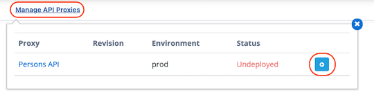API Proxy management