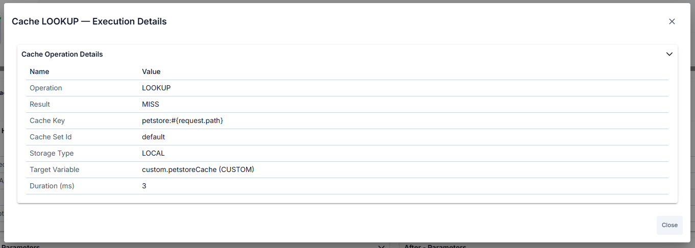 Cache LOOKUP Execution Details modal