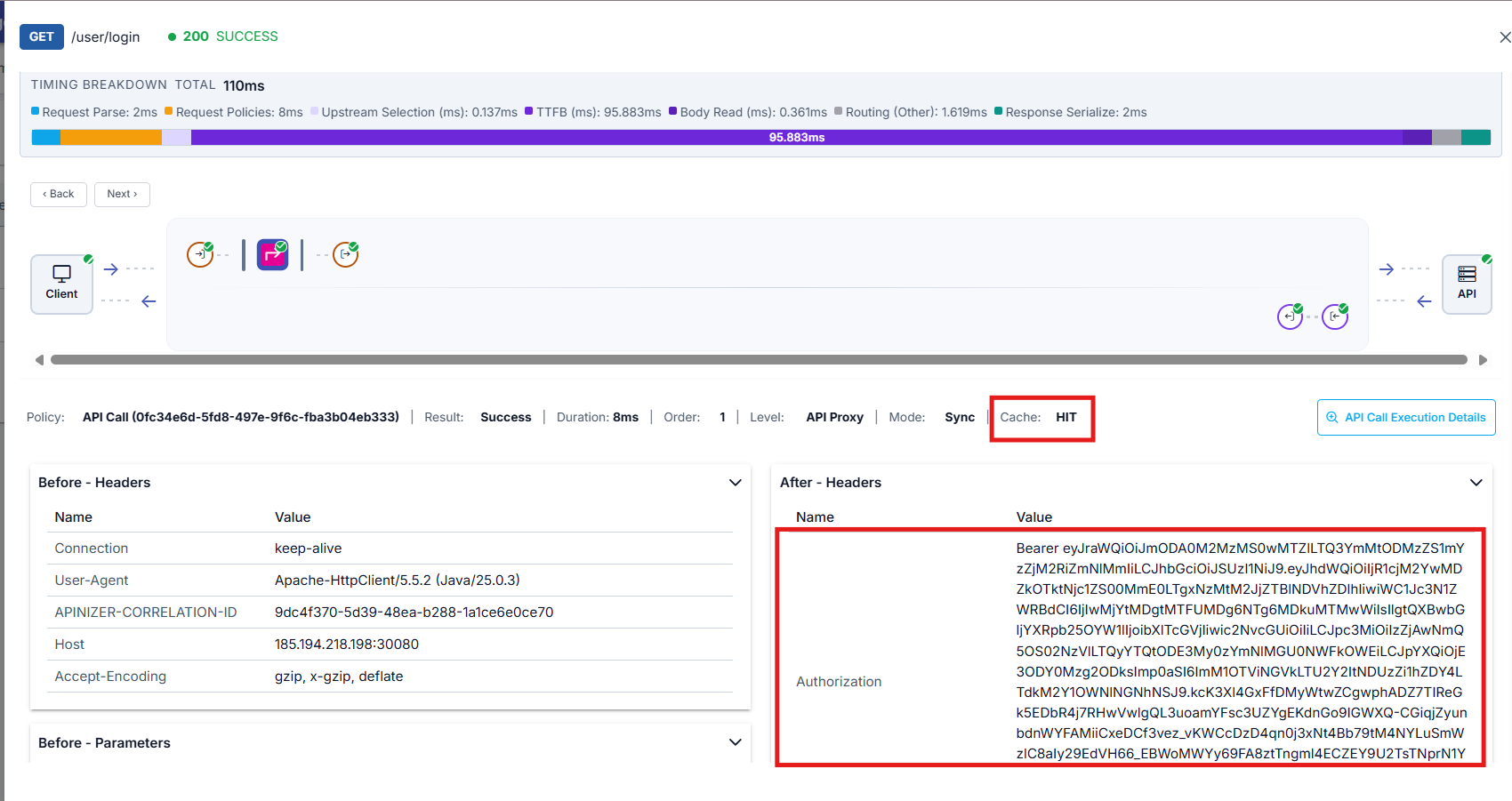 View Trace Detail API Call Policy For Caching