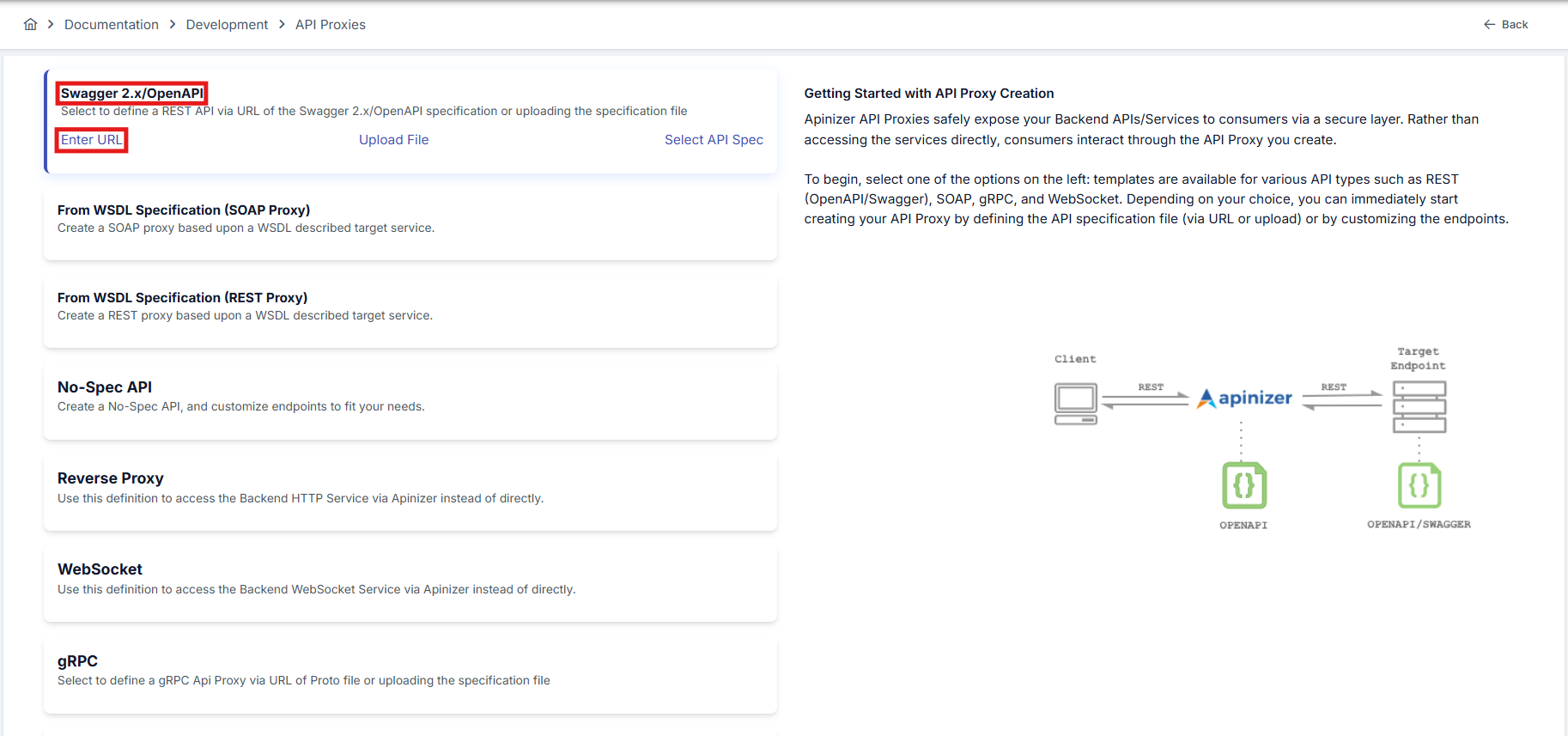 API Spec Type Selection