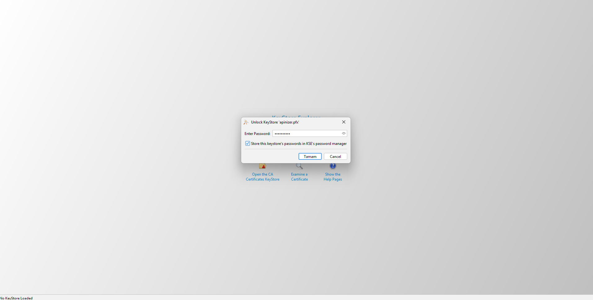 Unlock KeyStore parola penceresi