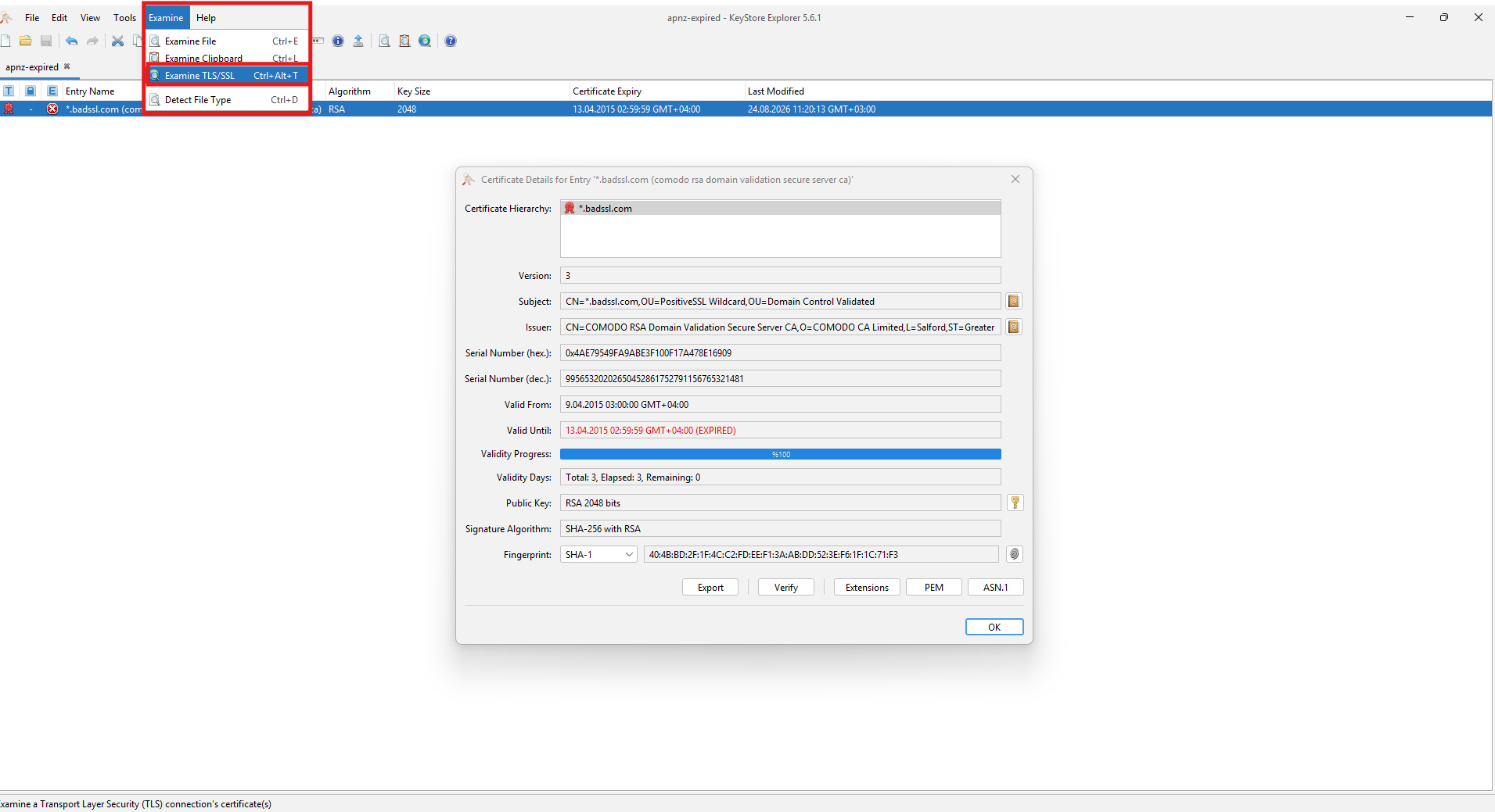 Examine menüsünden Examine TLS/SSL seçimi