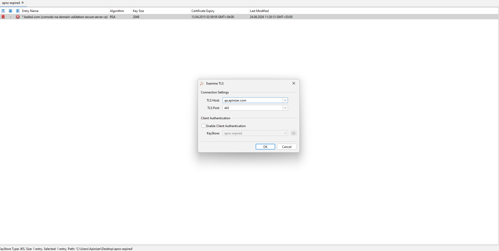 Examine TLS penceresinde host ve port girişi
