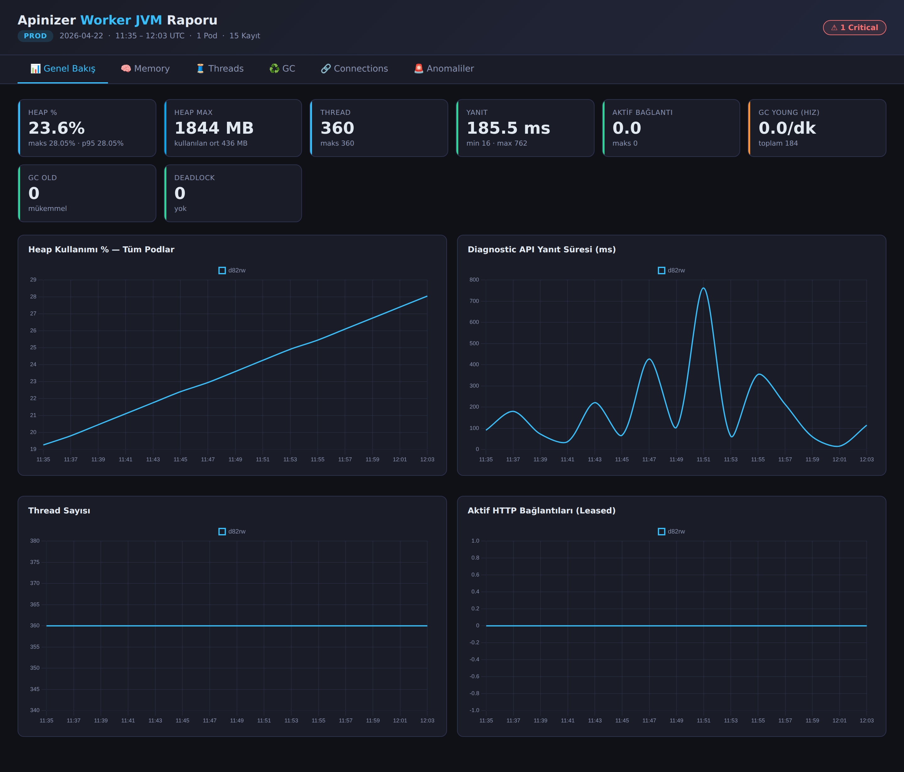 Apinizer Worker Diagnostics Report — Overview Tab