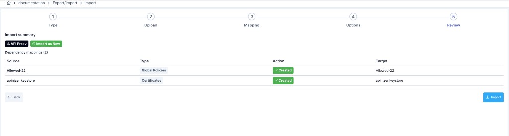 Import wizard review and import