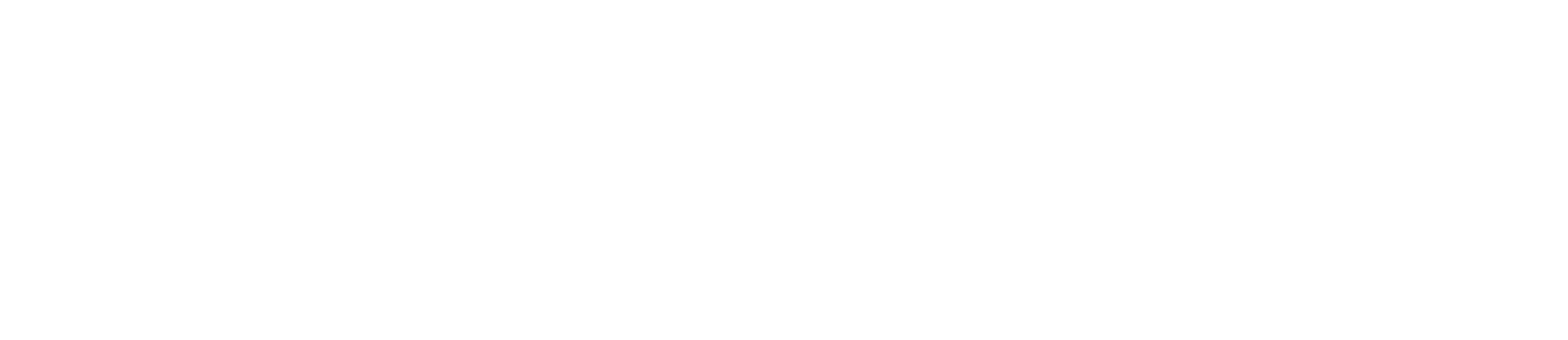 Apinizer